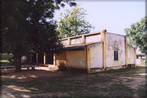 kot04.jpg