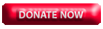 donate now and save a child