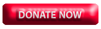 give your donation